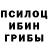 Псилоцибиновые грибы прущие грибы #StopToxicNeutrality